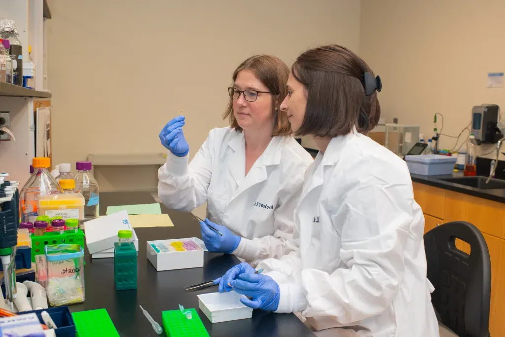 Becker and a student researchers prepare slides in the lab